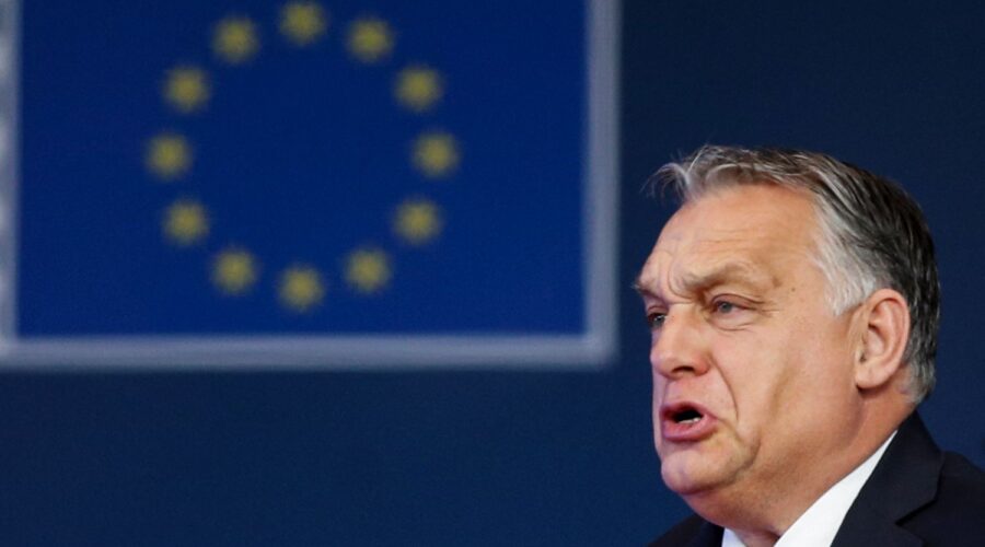 La Hongrie prend la présidence du Conseil de l'Union européenne pour six mois
          Le pays succède à la Belgique à partir de lundi et assurera sa mission jusqu'en décembre.